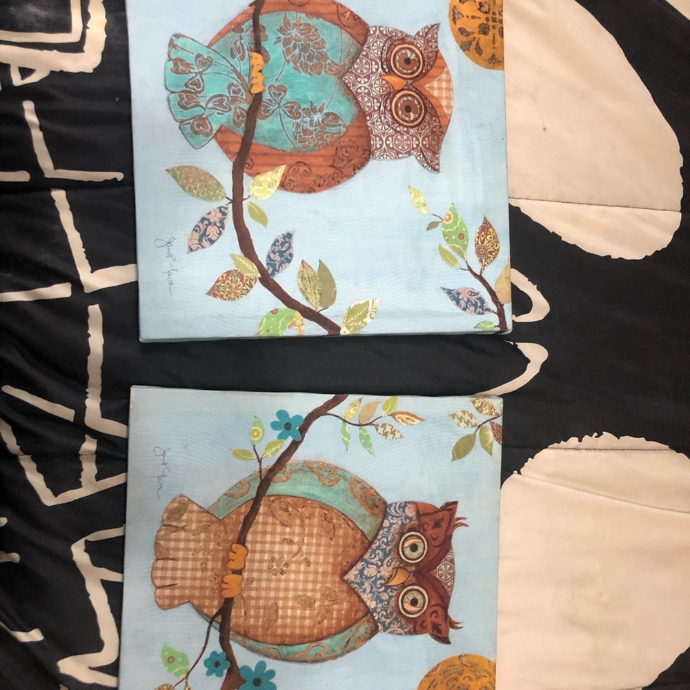 2 Canvas owl Paintings